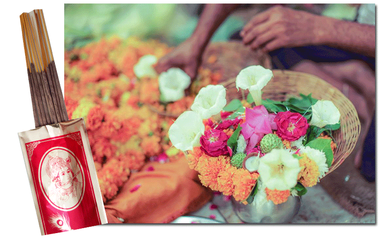 Vrindavan Flower. Квіти Вріндавана Vrindavan Flower. Квіти Вріндавана