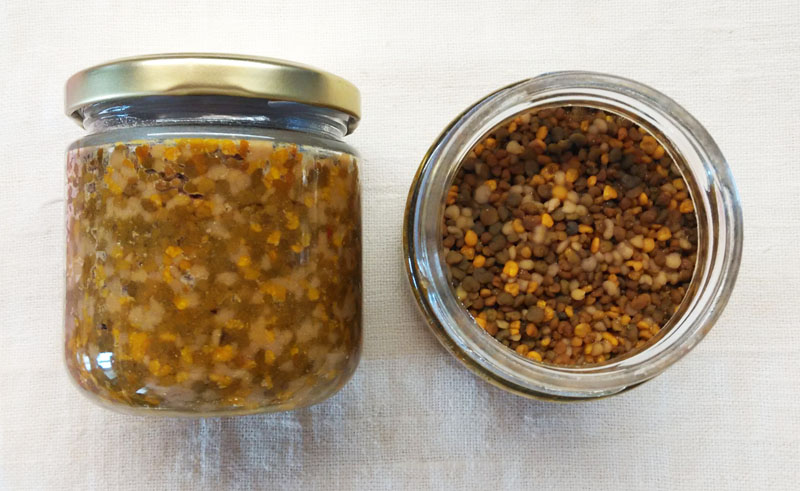 ПЧЕЛИНАЯ ПЫЛЬЦА С МЁДОМ ПЧЕЛИНАЯ ПЫЛЬЦА С МЁДОМ