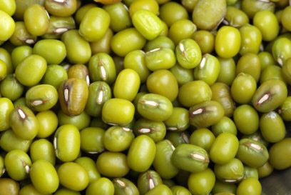 маш купить маш купить