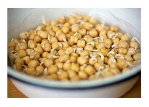 нут пророщений нут пророщений