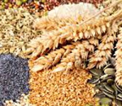 Полезные семена и зерно