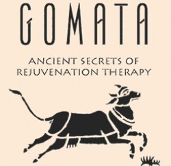 аюрведа от матери коровы