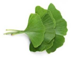 Чай Душа с Гинко Билоба