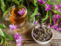 Иван-чай листовой