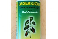 Канчнар гуггул