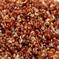 Кiноа червона
