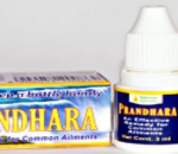 Прандхара Махаріші