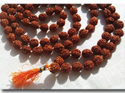 Чотки рудракші