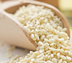 Кунжут білий